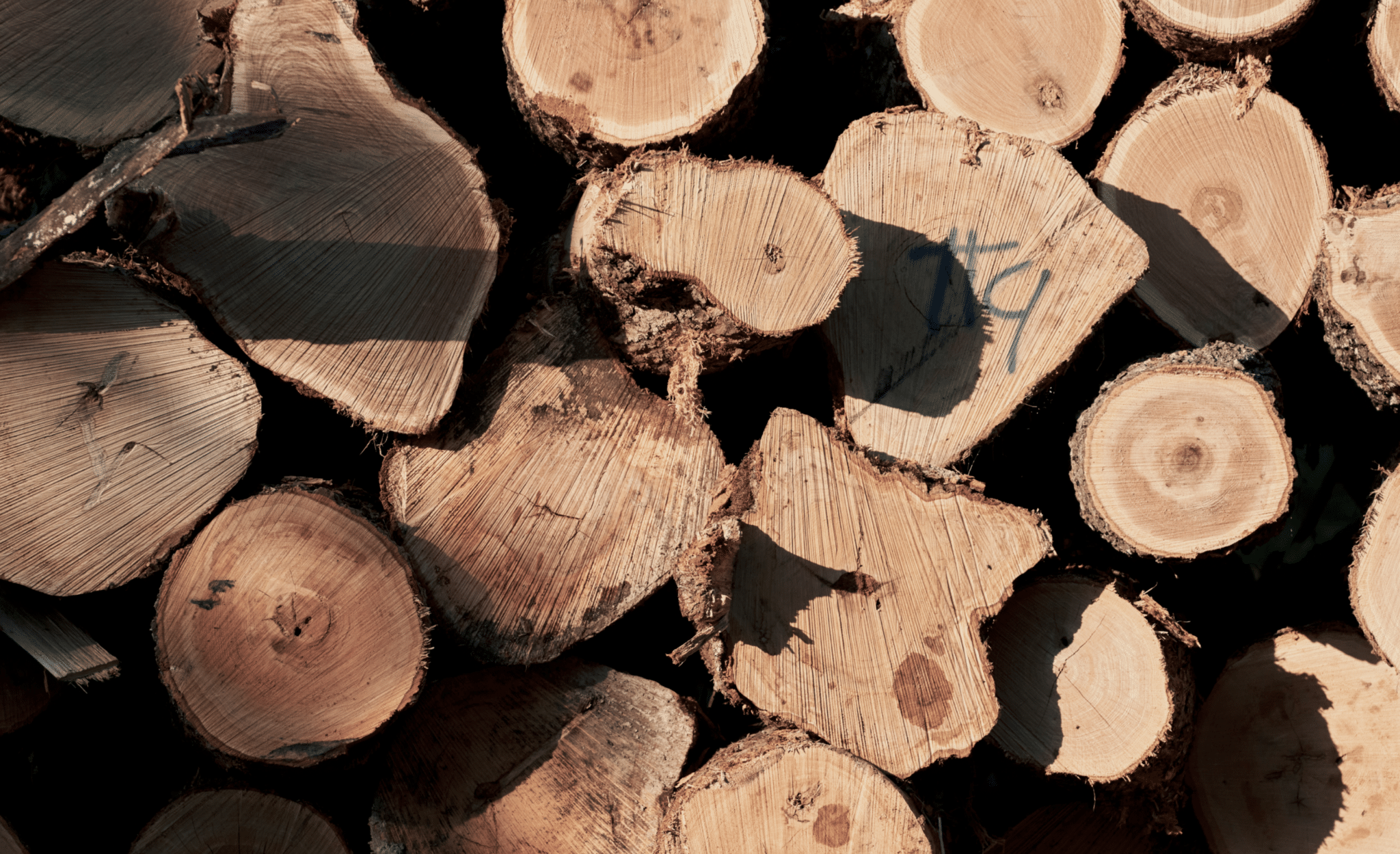 Screenshot 2024-09-17 at 7.53.38 PM